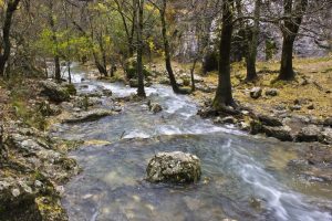 Escapada Sierra de Cazorla, nacimiento del rio guadalquivir