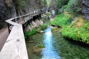 Sierra de Cazorla Rio Borosa, ruta de senderismo y entorno natural espectacular