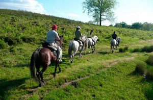 Rutas a caballo - Actividades Cazorla Rural