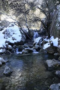 invierno en sierras de cazorla, nacimiento del rio Guadalquivir nevado