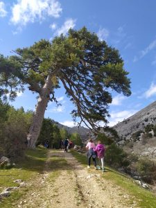 rutas de senderismo en sierras de cazorla para descubrir la naturaleza con Cazorla Rural